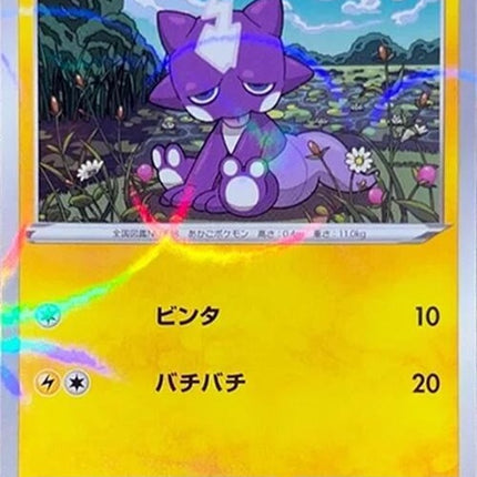 57-toxel-mirrorholofoil