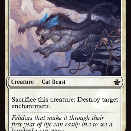 573-felidarcub