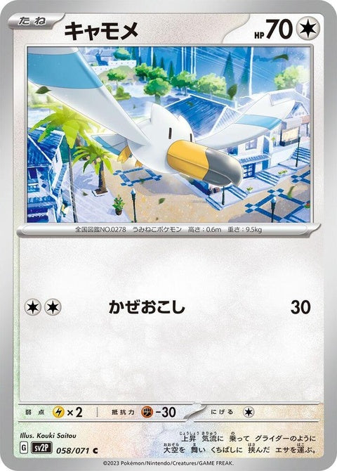 58-wingull