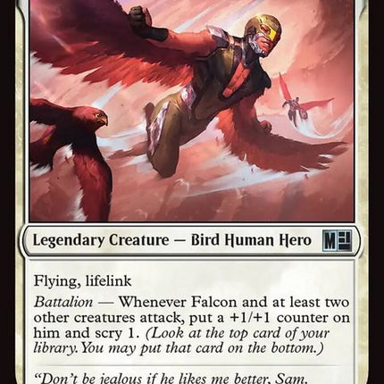 593-falconjoaquintorres