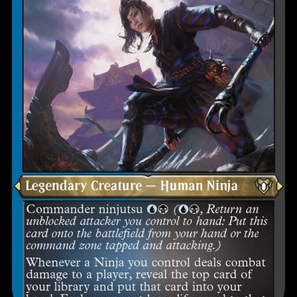 597-yurikothetigersshadow