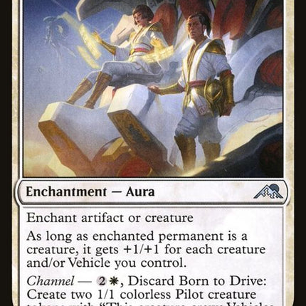 6-borntodrive