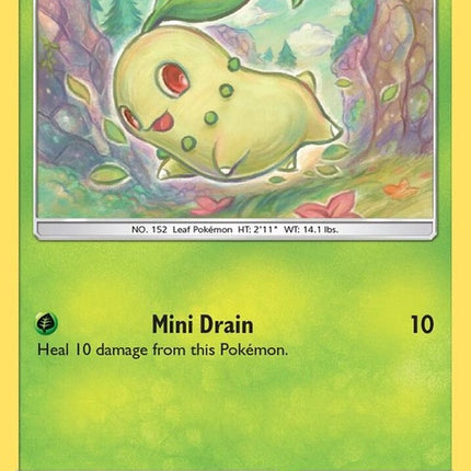 6-chikorita
