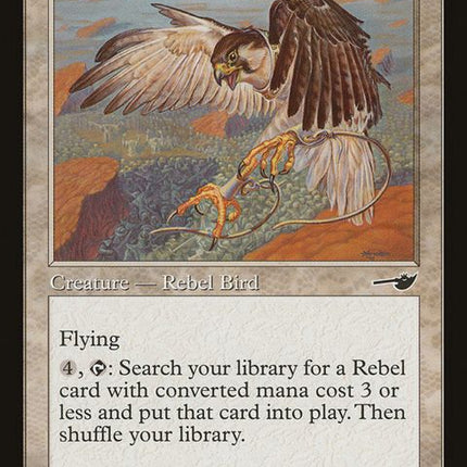 6-defiantfalcon
