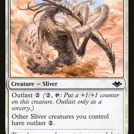 6-enduringsliver