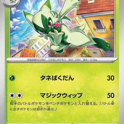 6-floragato