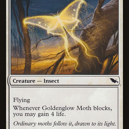 6-goldenglowmoth