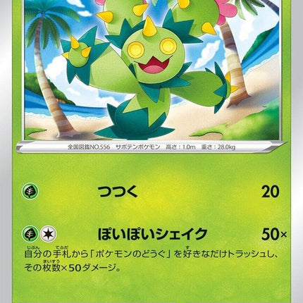 6-maractus