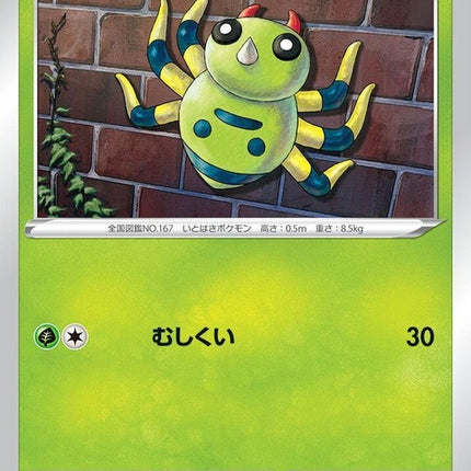 6-spinarak