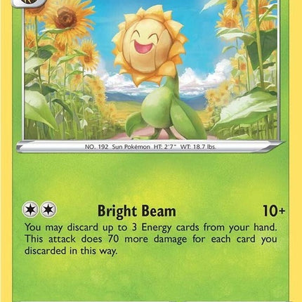6-sunflora