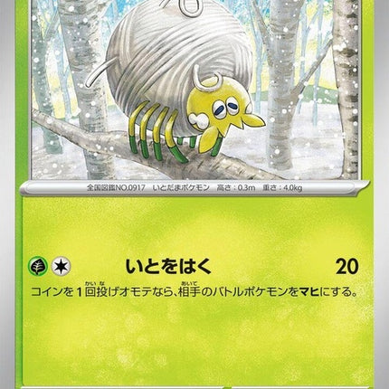 6-tarountula