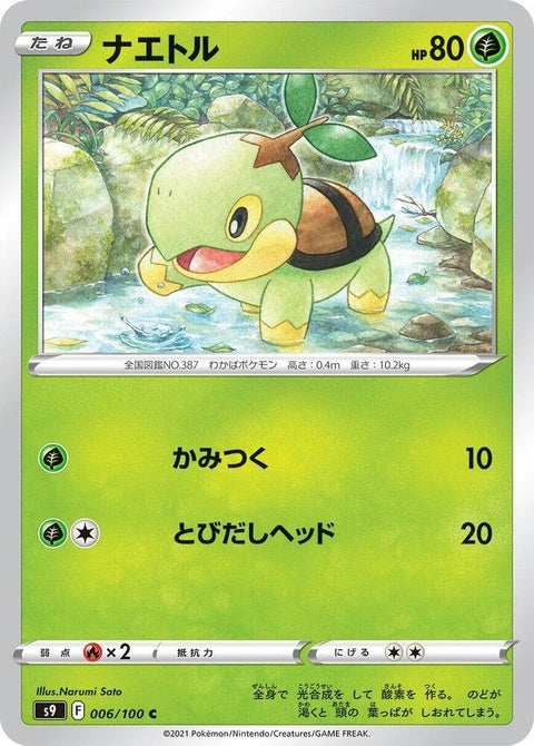 6-turtwig