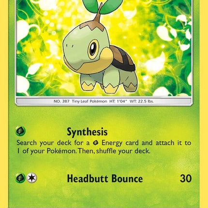6-turtwig