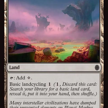 60-ashbarrens