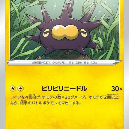61-pincurchin