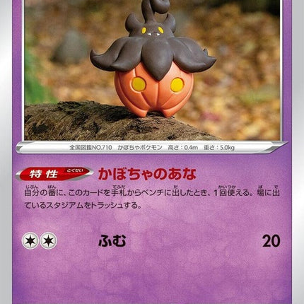 61-pumpkaboo
