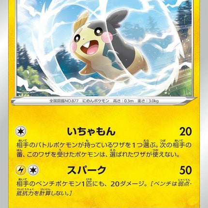 62-morpeko