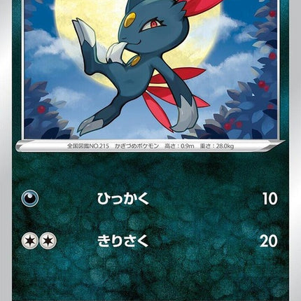 62-sneasel