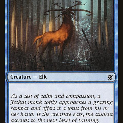 62-wetlandsambar