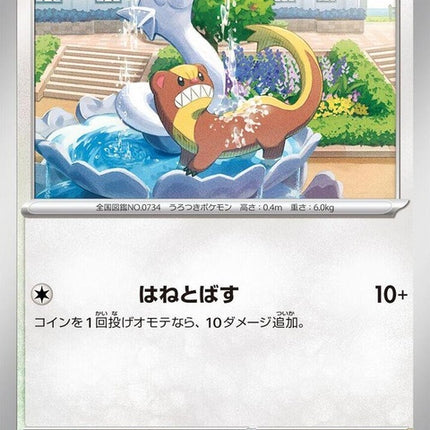 62-yungoos