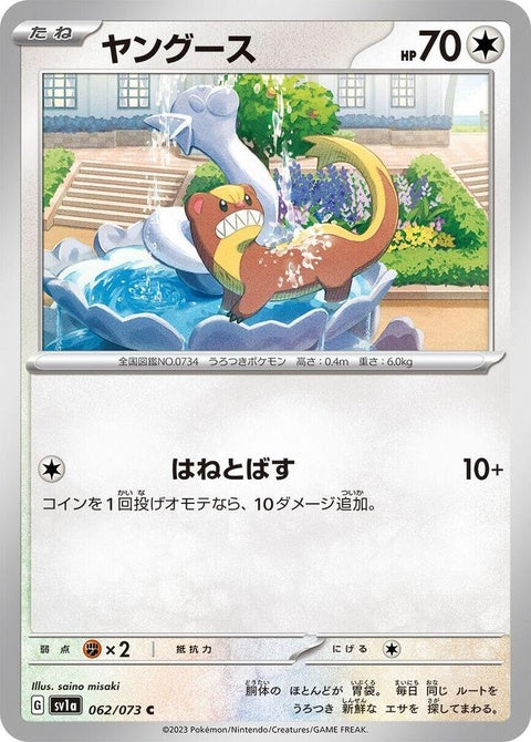 62-yungoos