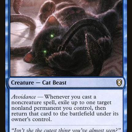 63-displacerkitten