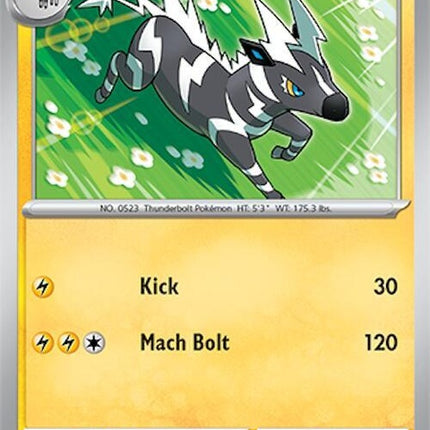 63-zebstrika