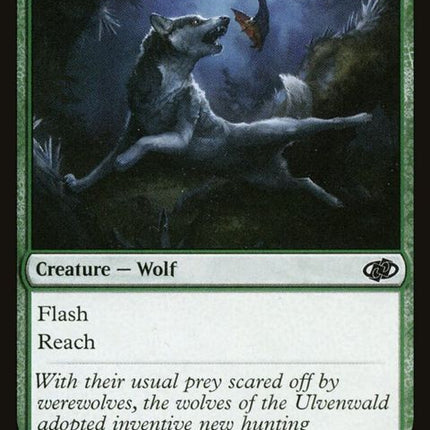 633-boundingwolf