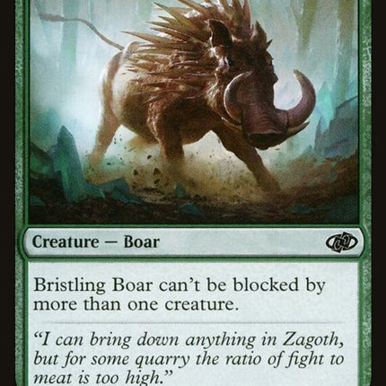 635-bristlingboar
