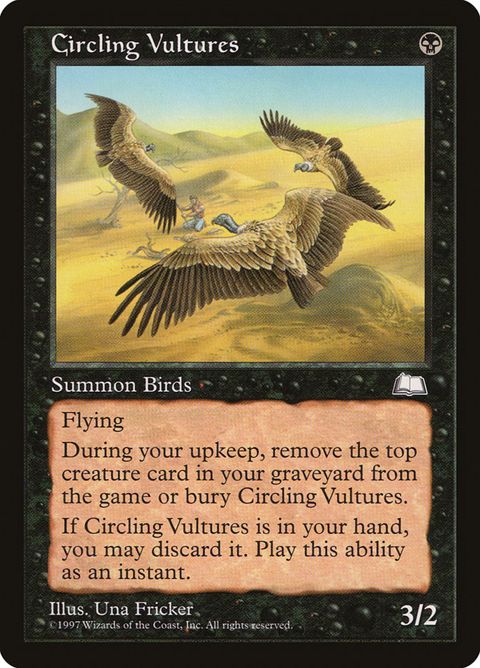 64-circlingvultures