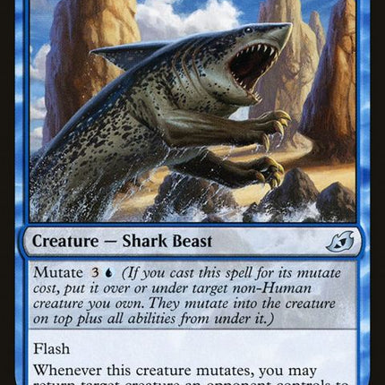 64-pouncingshoreshark