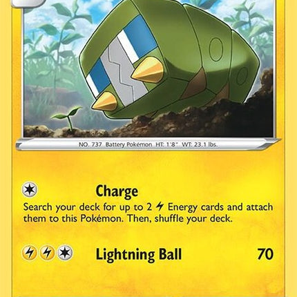 65-charjabug