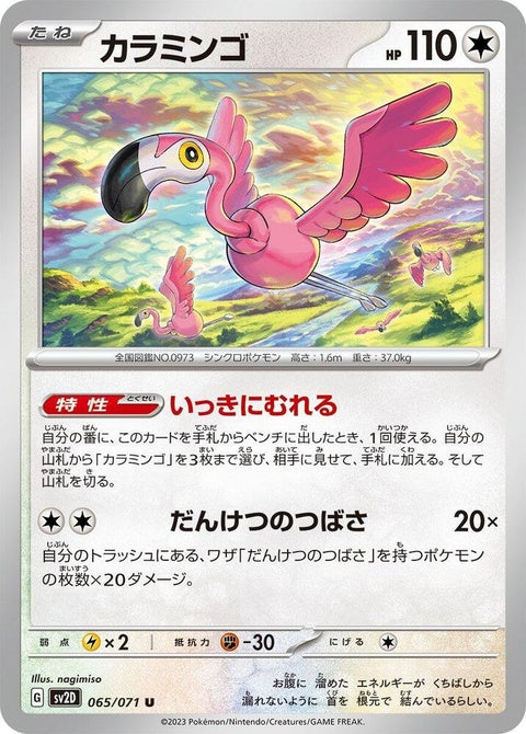 65-flamigo