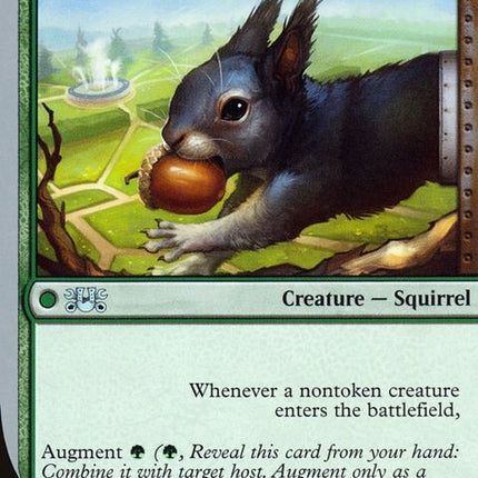 65-halfsquirrelhalf