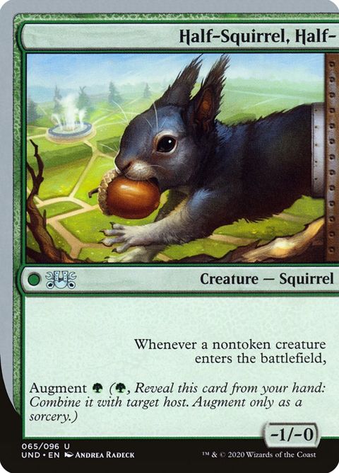 65-halfsquirrelhalf