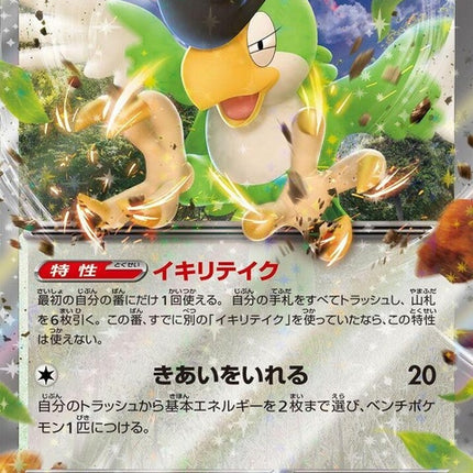 65-squawkabillyex