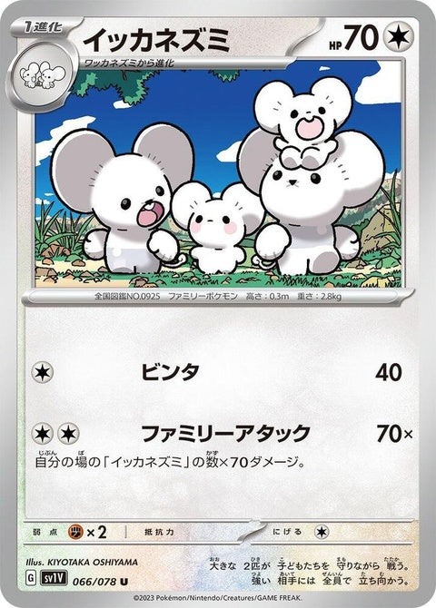 66-maushold