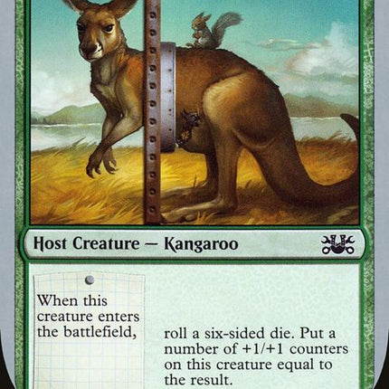 66-motherkangaroo