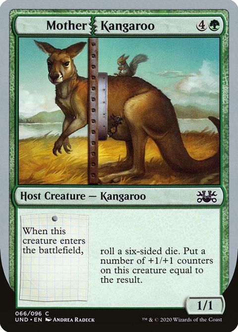 66-motherkangaroo