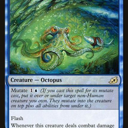 66-seadasheroctopus