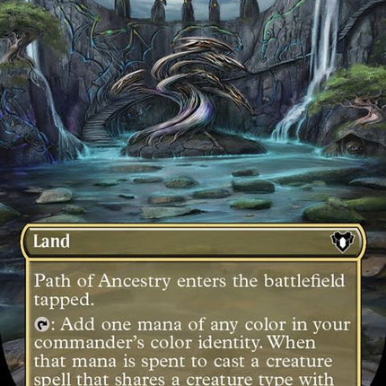 661-pathofancestry