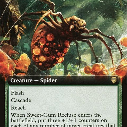 685-sweetgumrecluse