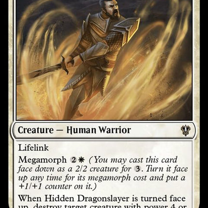 69-hiddendragonslayer