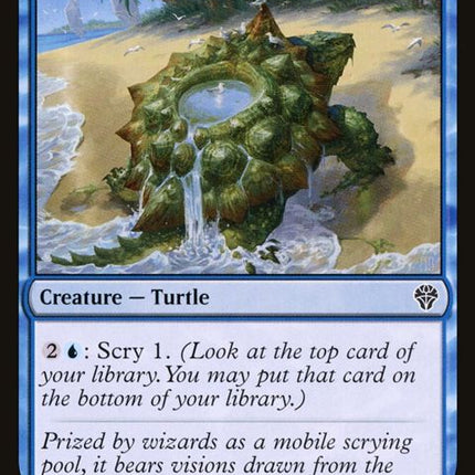 69-tidepoolturtle