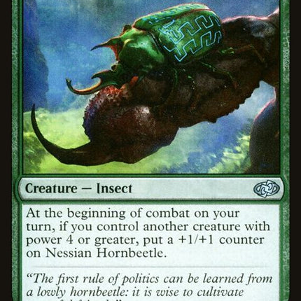 695-nessianhornbeetle