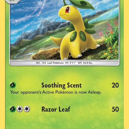 7-bayleef