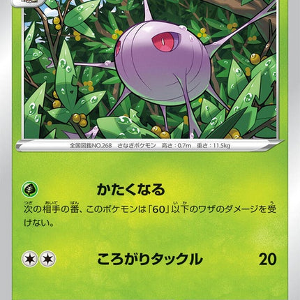 7-cascoon