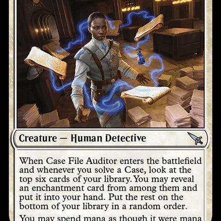 7-casefileauditor