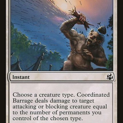 7-coordinatedbarrage
