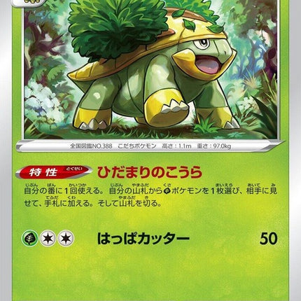 7-grotle